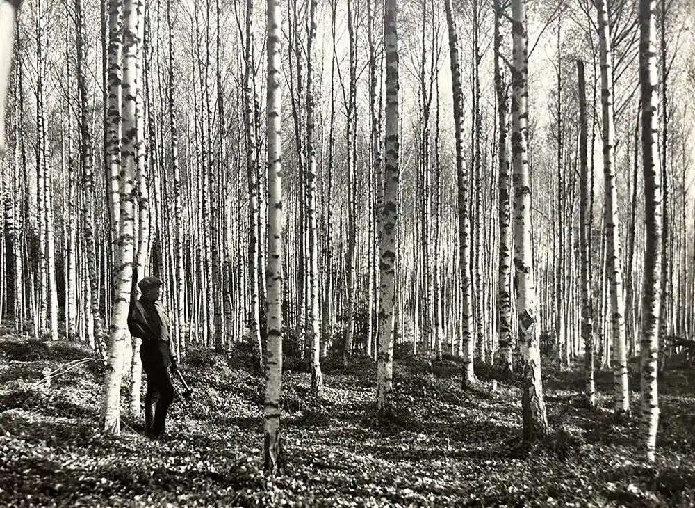 Arkivbild 1 BJörkskog. Wästanfjärd 1