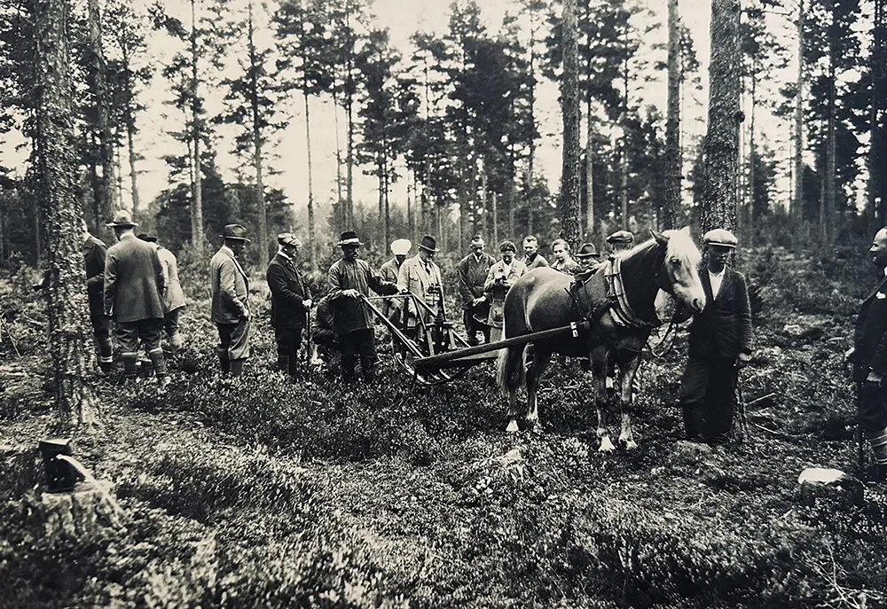 Kolmodins kultivator Skogskultur historik 2