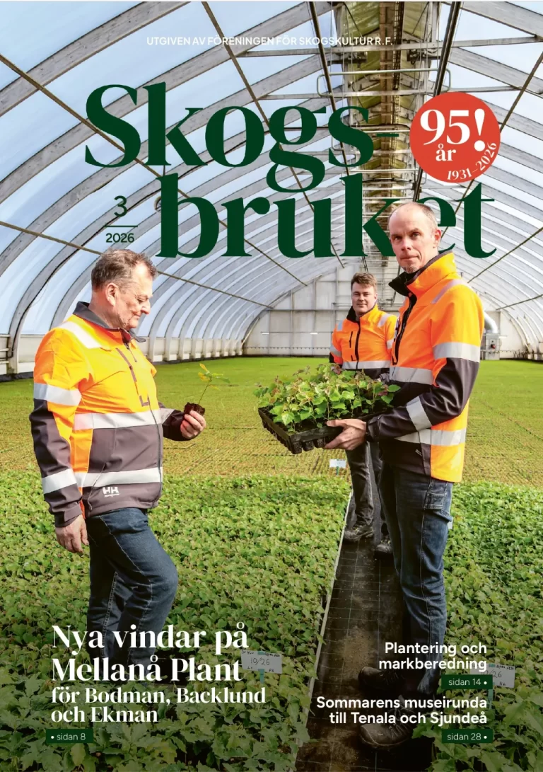 Skogsbruket pärm 3/26